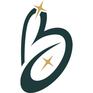 Virtuoso Design Studio LLC