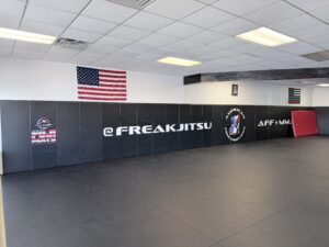 American Free Fight MMA