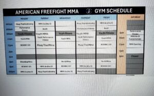 American Free Fight MMA